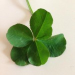 英語を読めるだけでも、世界は広がります！